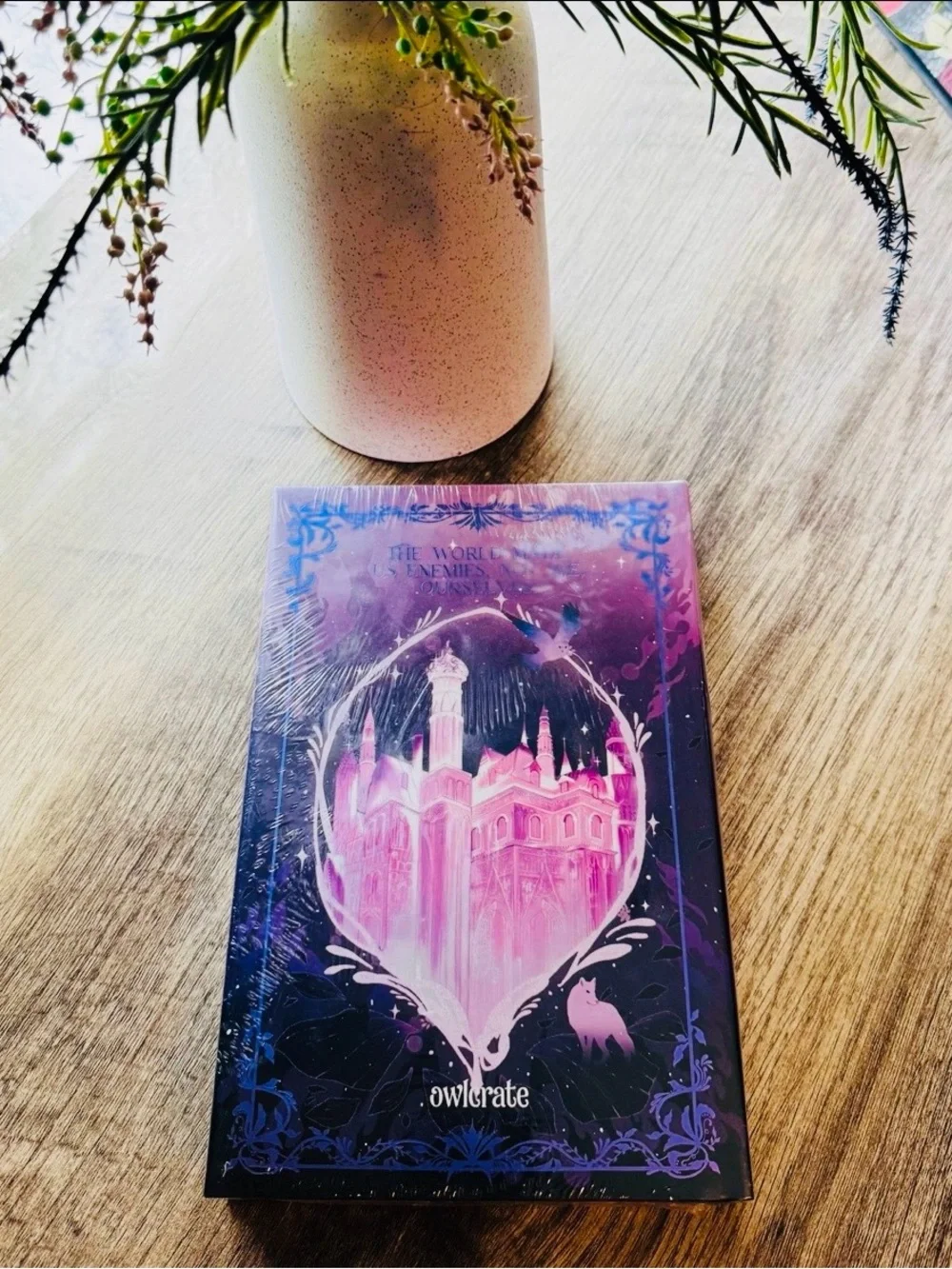 Owlcrate Exclusive SIGNED Edition Never The Roses by Jennifer K. Lambert